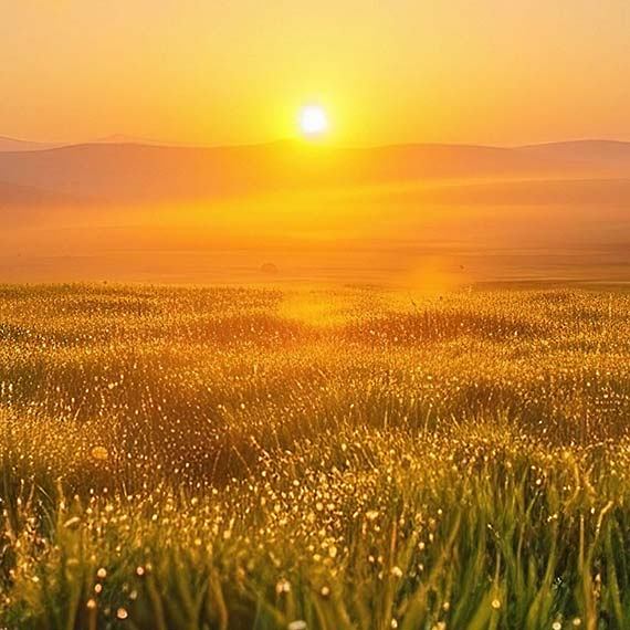 World Environment Day