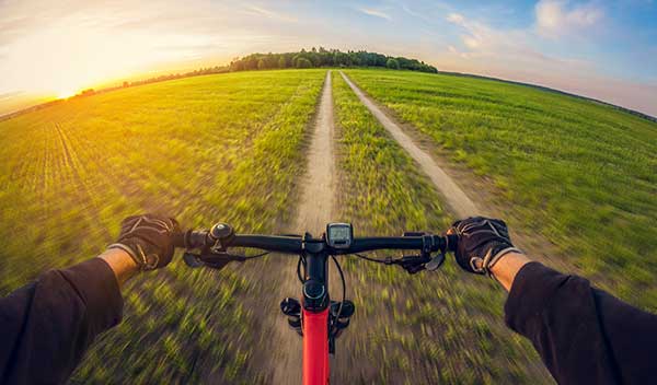 photo of hands on bike handlebars, facing towards a field track and woods in the distance at sunset